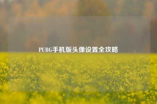 PUBG手机版头像设置全攻略