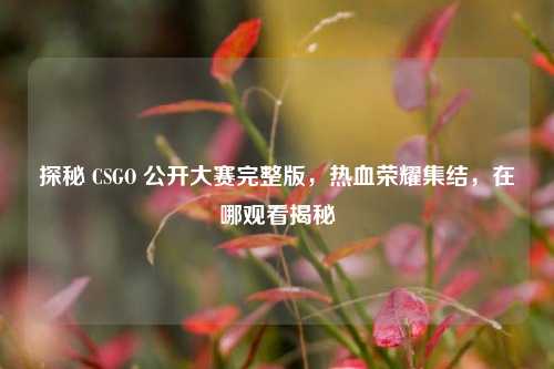 探秘 CSGO 公开大赛完整版,热血荣耀集结,在哪观看揭秘