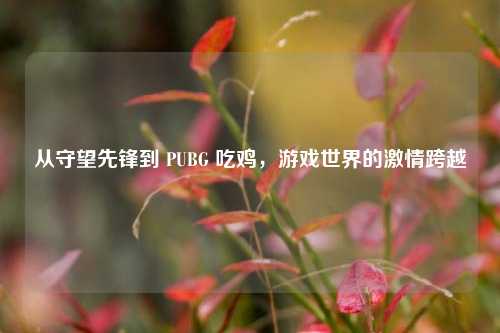 从守望先锋到 PUBG 吃鸡，游戏世界的激情跨越