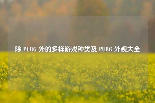 除 PUBG 外的多样游戏种类及 PUBG 外观大全