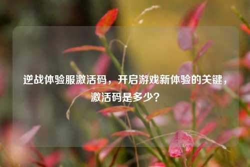 逆战体验服激活码,开启游戏新体验的关键,激活码是多少?