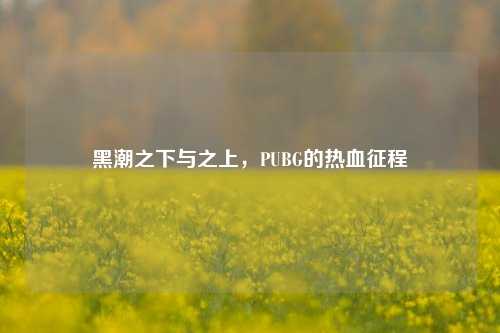黑潮之下与之上,PUBG的热血征程