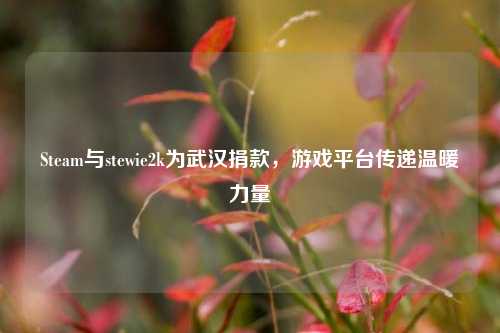 Steam与stewie2k为武汉捐款,游戏平台传递温暖力量