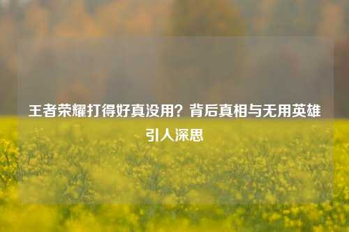 王者荣耀打得好真没用?背后真相与无用英雄引人深思