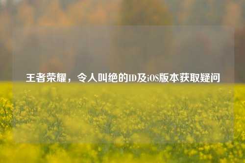 王者荣耀,令人叫绝的ID及iOS版本获取疑问