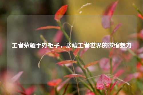 王者荣耀手办柜子,珍藏王者世界的微缩魅力