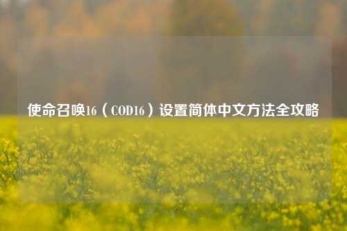 使命召唤16(COD16)设置简体中文方法全攻略