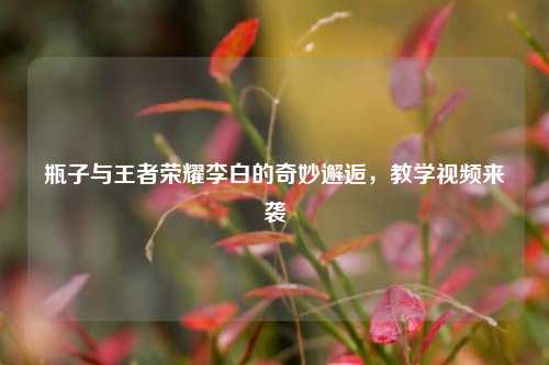 瓶子与王者荣耀李白的奇妙邂逅,教学视频来袭