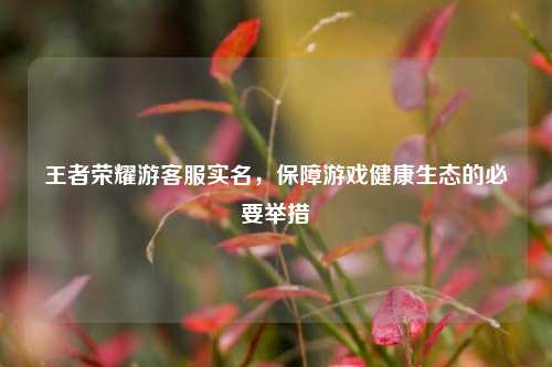 王者荣耀游客服实名,保障游戏健康生态的必要举措