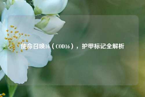 使命召唤16(COD16),护甲标记全解析