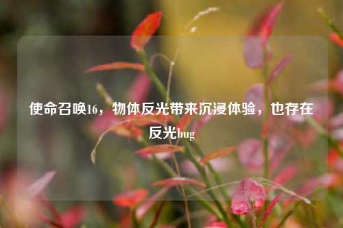 使命召唤16,物体反光带来沉浸体验,也存在反光bug