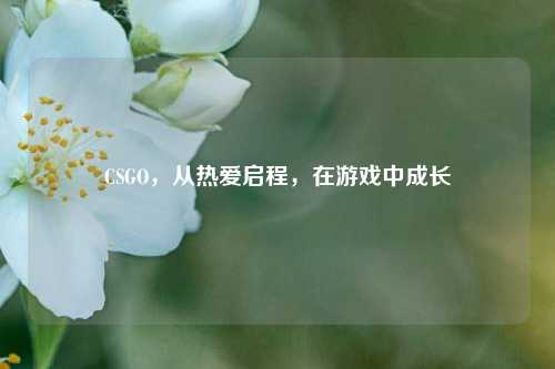 CSGO,从热爱启程,在游戏中成长