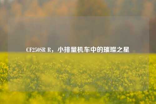 CF250SR R,小排量机车中的璀璨之星