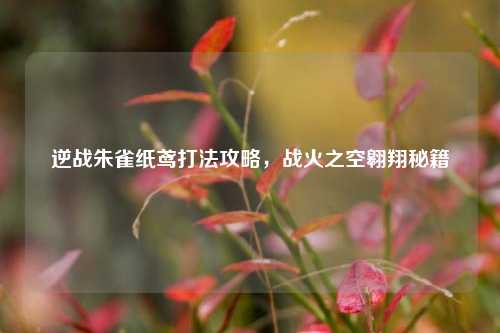 逆战朱雀纸鸢打法攻略,战火之空翱翔秘籍