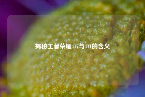 揭秘王者荣耀417与411的含义