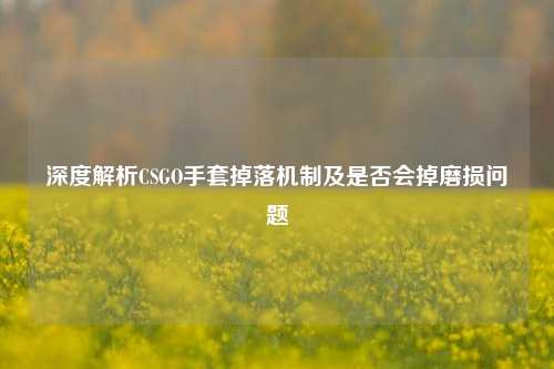 深度解析CSGO手套掉落机制及是否会掉磨损问题