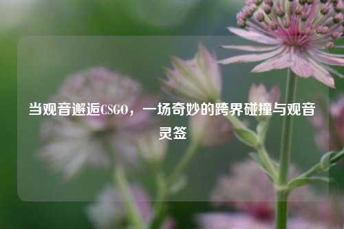当观音邂逅CSGO,一场奇妙的跨界碰撞与观音灵签
