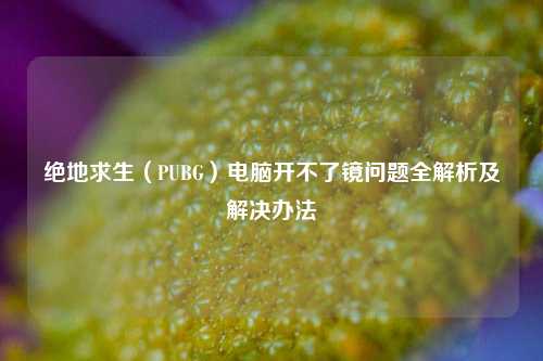 绝地求生(PUBG)电脑开不了镜问题全解析及解决办法