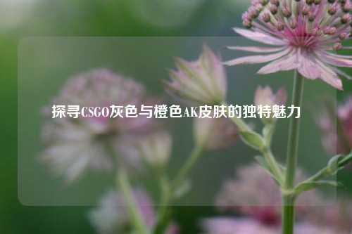 探寻CSGO灰色与橙色AK皮肤的独特魅力