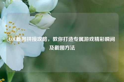 LOL截图拼接攻略,教你打造专属游戏精彩瞬间及截图方法