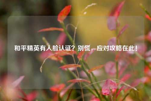 和平精英有人脸认证?别慌,应对攻略在此!