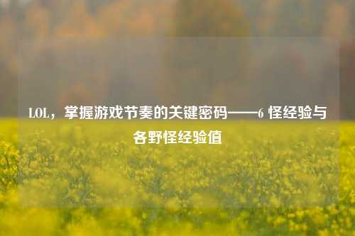 LOL,掌握游戏节奏的关键密码——6 怪经验与各野怪经验值