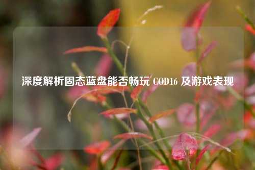深度解析固态蓝盘能否畅玩 COD16 及游戏表现