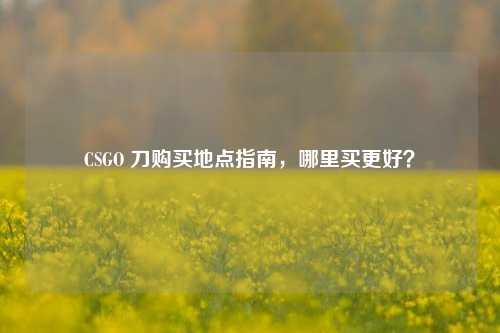 CSGO 刀购买地点指南,哪里买更好?