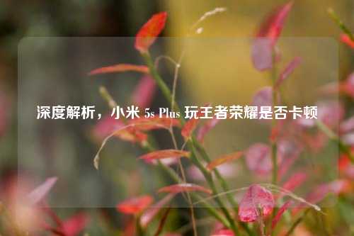 深度解析,小米 5s Plus 玩王者荣耀是否卡顿
