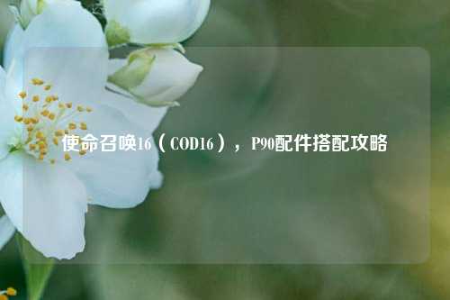 使命召唤16(COD16),P90配件搭配攻略