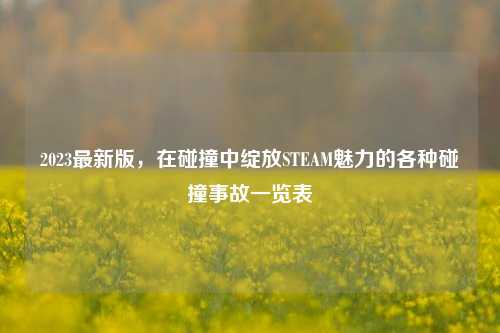 2023最新版，在碰撞中绽放STEAM魅力的各种碰撞事故一览表