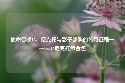 使命召唤16,尼克托与影子部队的传奇征程——cod16尼克托组合包