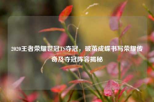 2020王者荣耀世冠TS夺冠,破茧成蝶书写荣耀传奇及夺冠阵容揭秘