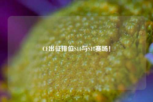 CF出征排位S11与S17赛场!