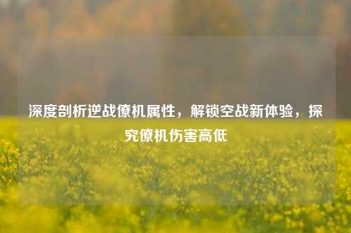 深度剖析逆战僚机属性,解锁空战新体验,探究僚机伤害高低