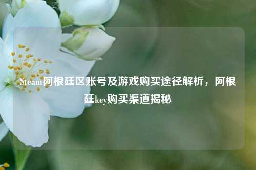 Steam阿根廷区账号及游戏购买途径解析,阿根廷key购买渠道揭秘