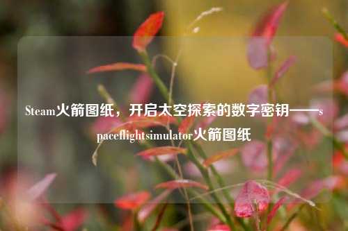 Steam火箭图纸,开启太空探索的数字密钥——spaceflightsimulator火箭图纸