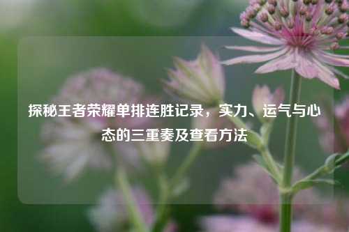 探秘王者荣耀单排连胜记录,实力、运气与心态的三重奏及查看方法