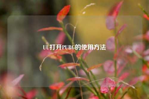 UU打开PUBG的使用方法