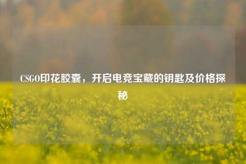 CSGO印花胶囊,开启电竞宝藏的钥匙及价格探秘