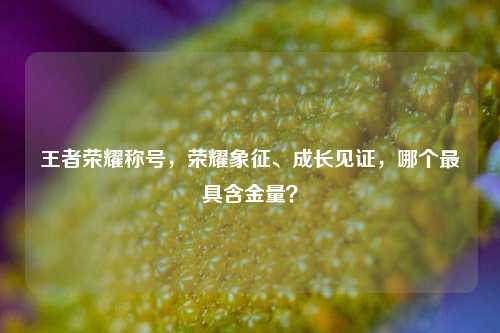 王者荣耀称号,荣耀象征、成长见证,哪个最具含金量?