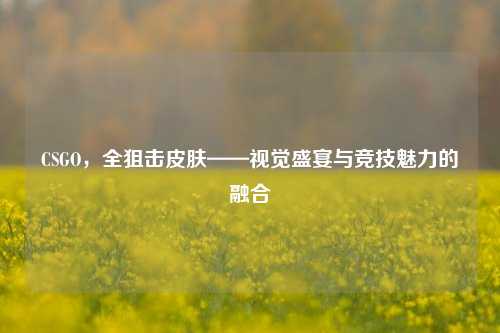 CSGO,全狙击皮肤——视觉盛宴与竞技魅力的融合