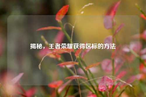 揭秘,王者荣耀获得区标的方法