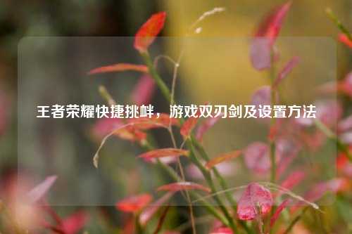 王者荣耀快捷挑衅,游戏双刃剑及设置方法