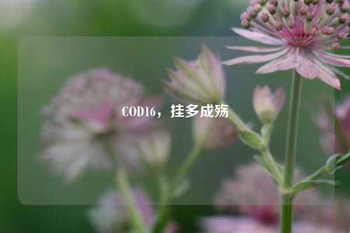 COD16,挂多成殇