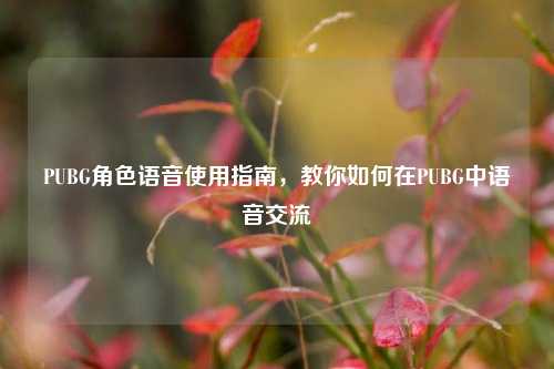PUBG角色语音使用指南,教你如何在PUBG中语音交流