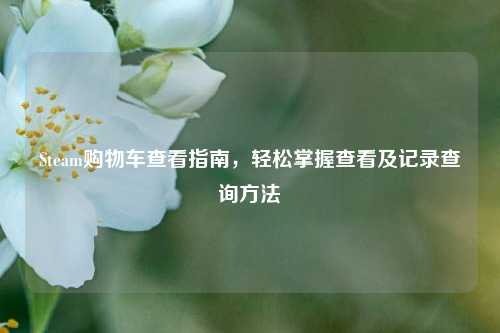 Steam购物车查看指南,轻松掌握查看及记录查询方法