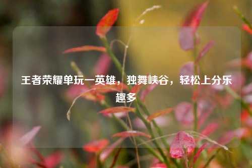 王者荣耀单玩一英雄，独舞峡谷，轻松上分乐趣多