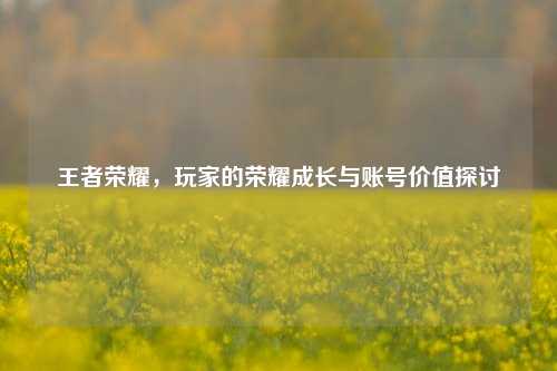 王者荣耀,玩家的荣耀成长与账号价值探讨
