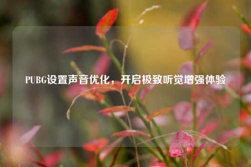 PUBG设置声音优化,开启极致听觉增强体验